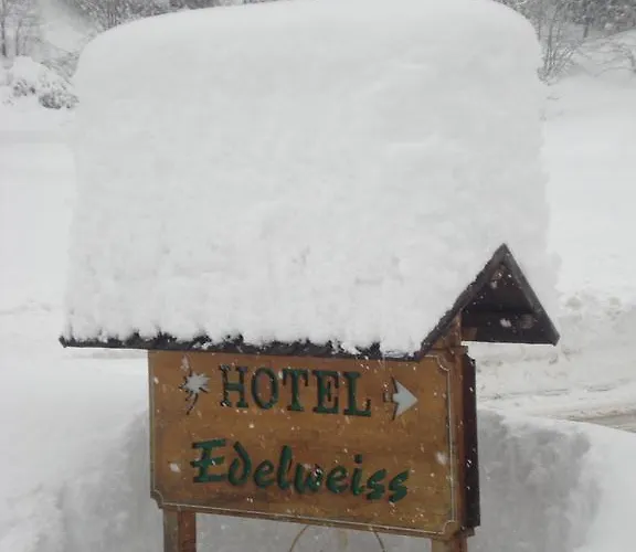 Hotel Edelweiss 3*
